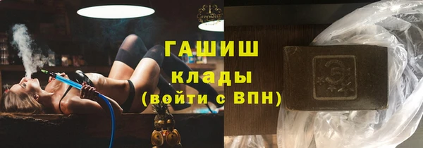 шишки Абаза