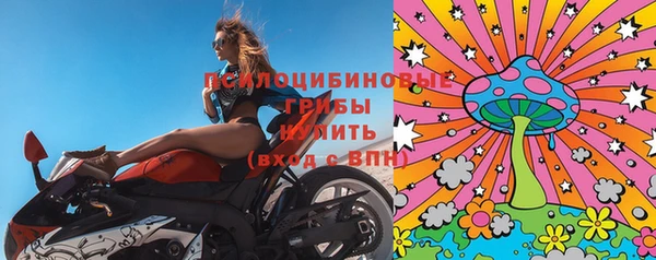 тгк Алзамай