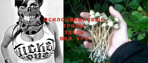 соль ск Алексеевка